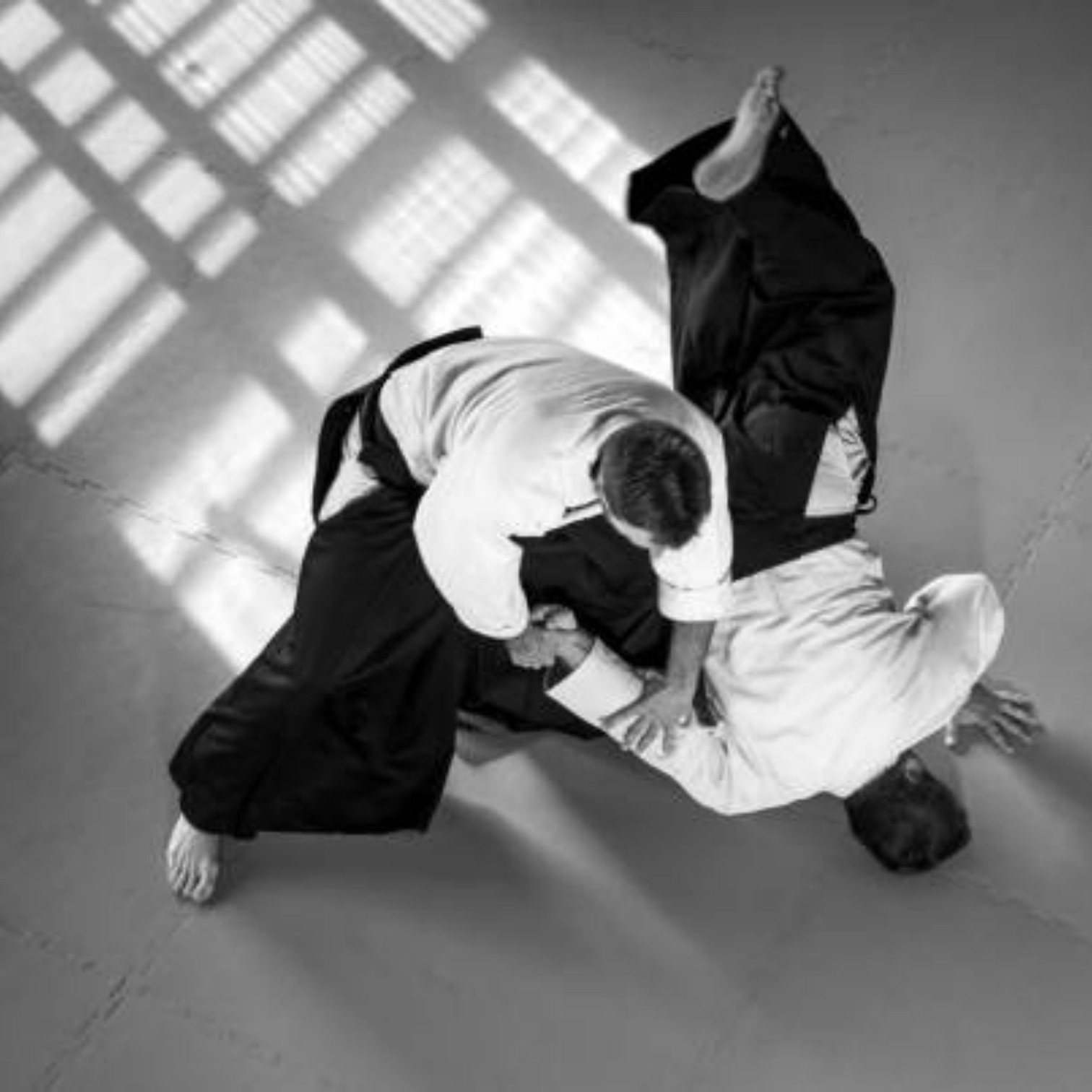 The Spirit of Aikido — 合氣道 For Aikido Enthusiasts