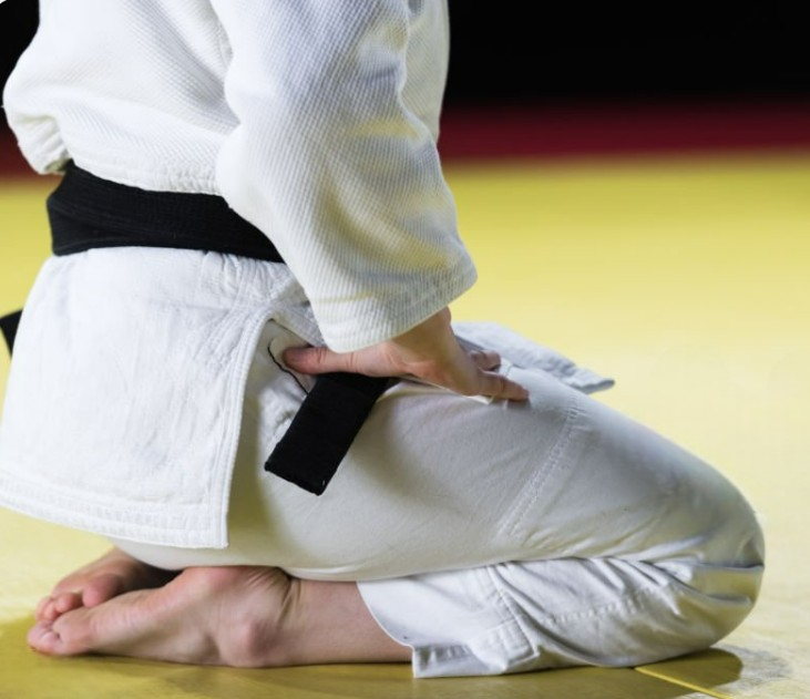 Fudōshin — 不動心 The Unshakable Mind of the Martial Artist and Samurai