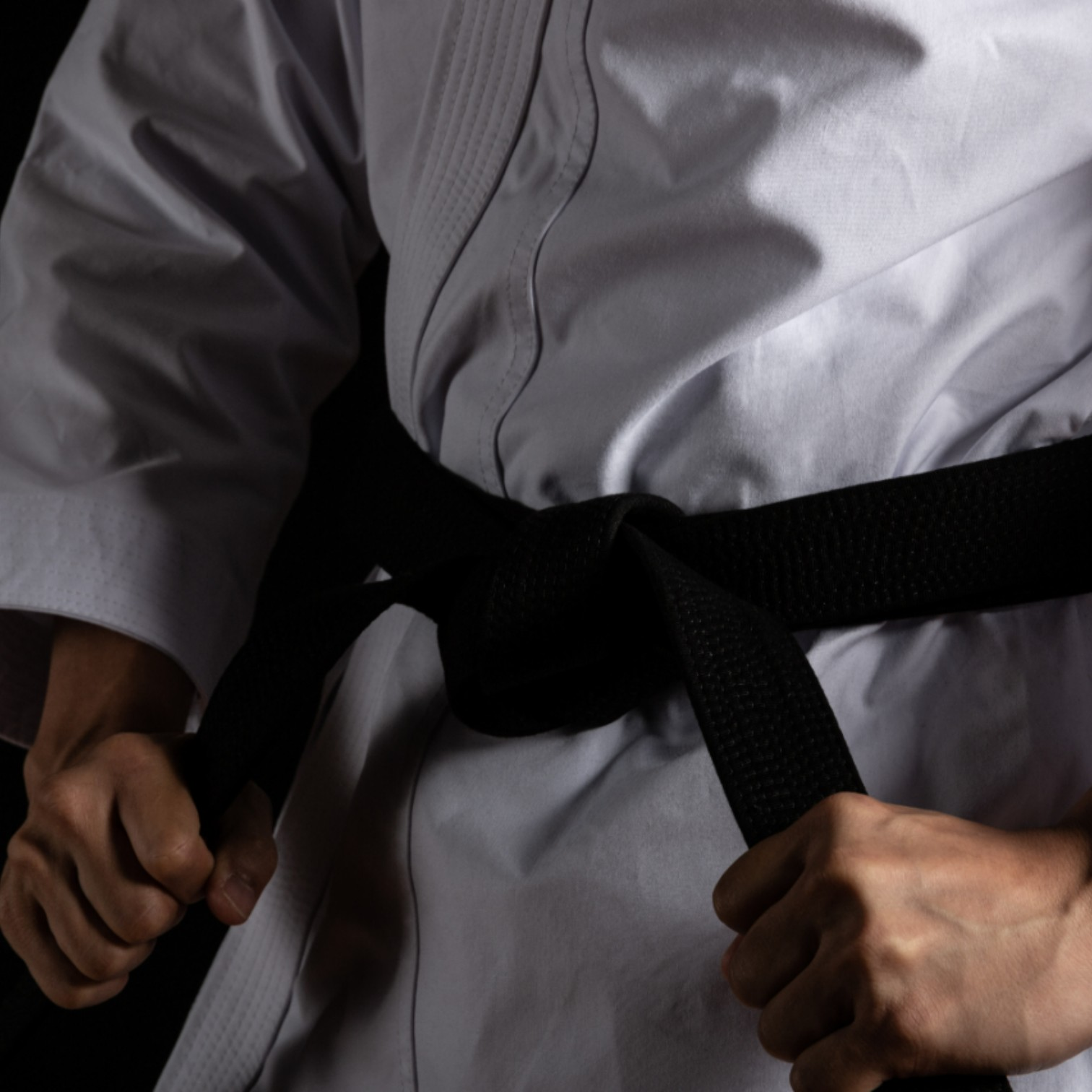 Unbreakable Will — 不撓不屈 Karate, Judo, Aikido & Samurai Spirits