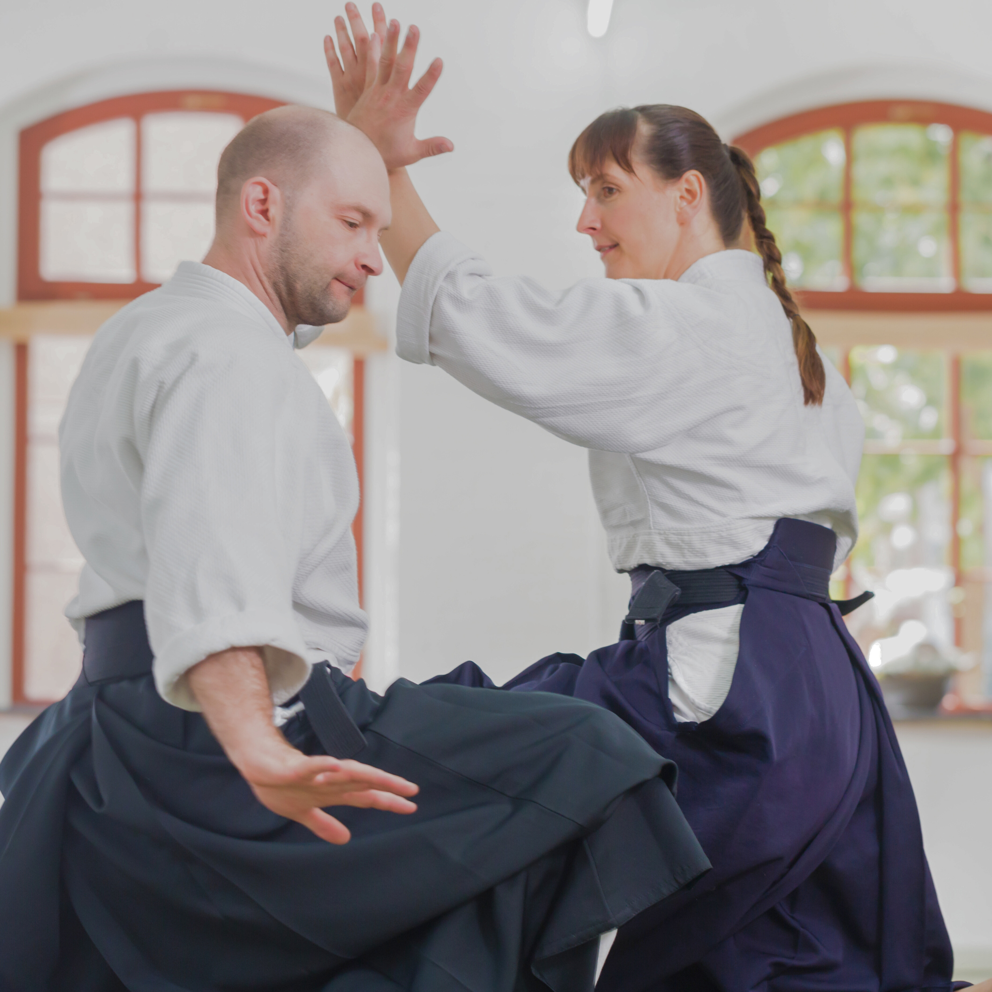 Spirit, Technique, and Physical Strength — 心技体 For All Martial Arts Enthusiasts