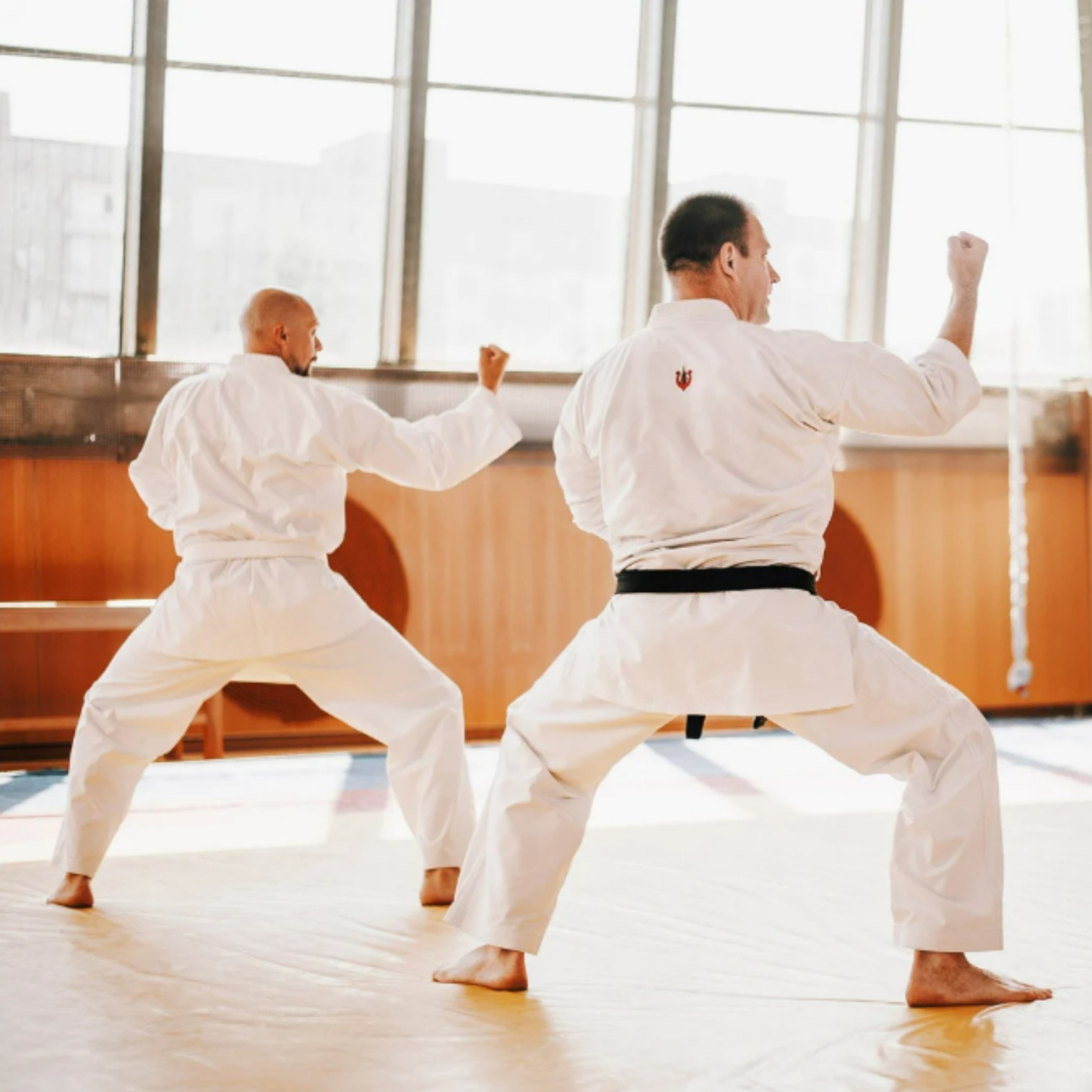 The Way of Mastery in All Martial Arts — 守破離 Shu Ha Ri