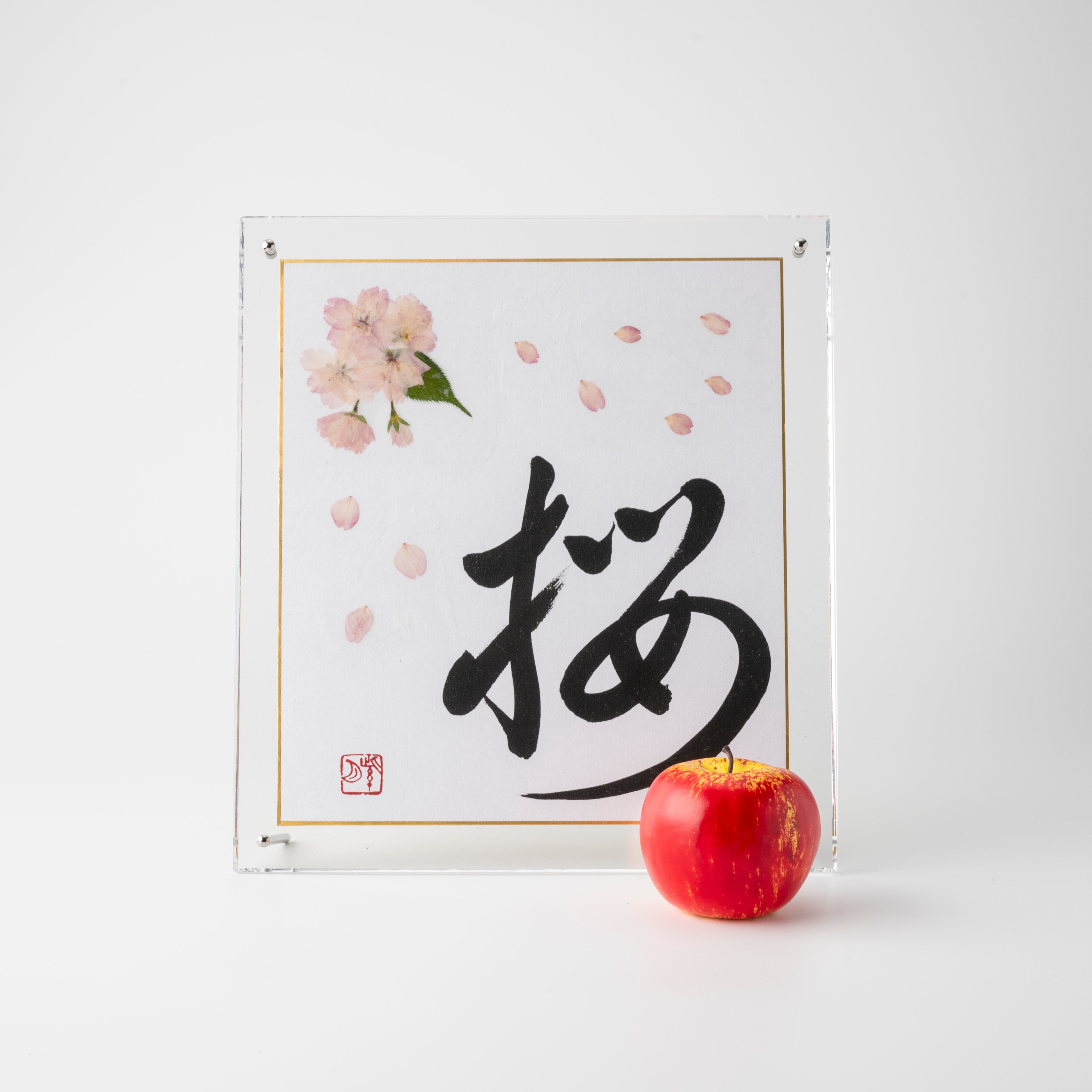 Pressed Flower Sakura "Cherry Blossom" in Japanese - Acrylic Clear Frame, Design 1 (Free Shipping)