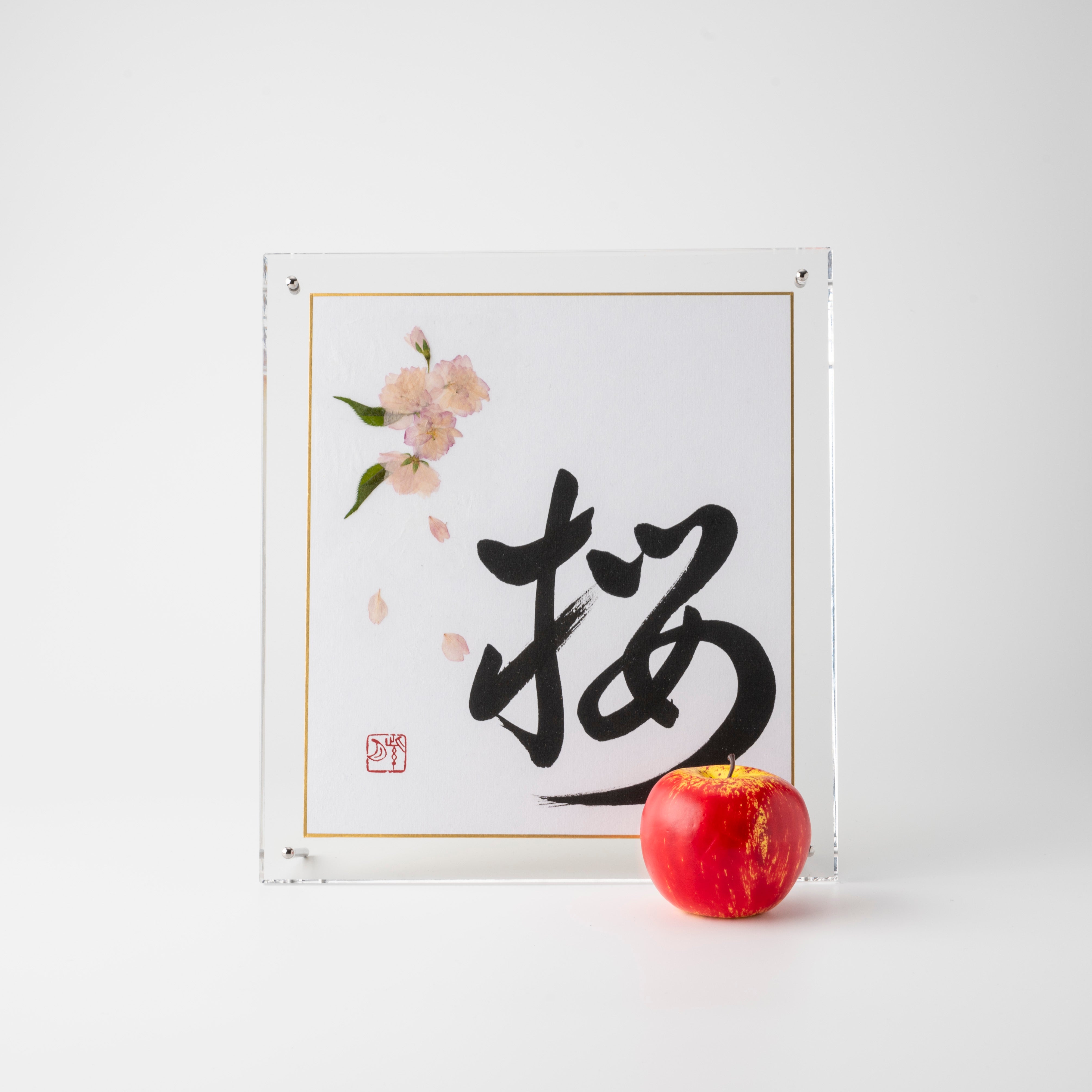 Pressed Flower Sakura "Cherry Blossom" in Japanese - Acrylic Clear Frame, Design 2 (Free Shipping)