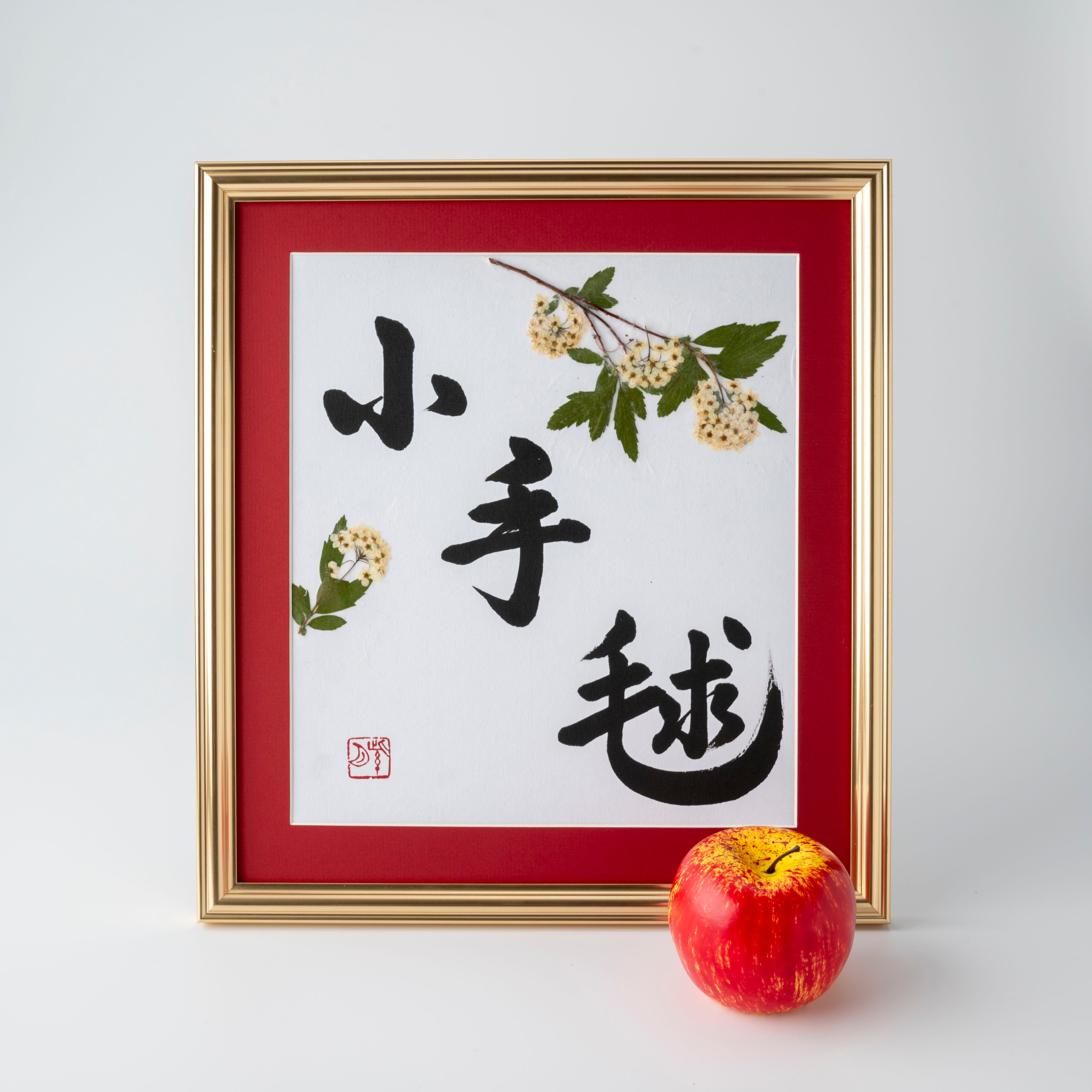 Pressed Flower Kodemari "Reeves Spirea" in Japanese - Gold Frame with Red Mat, Design 2 (Free Shipping)