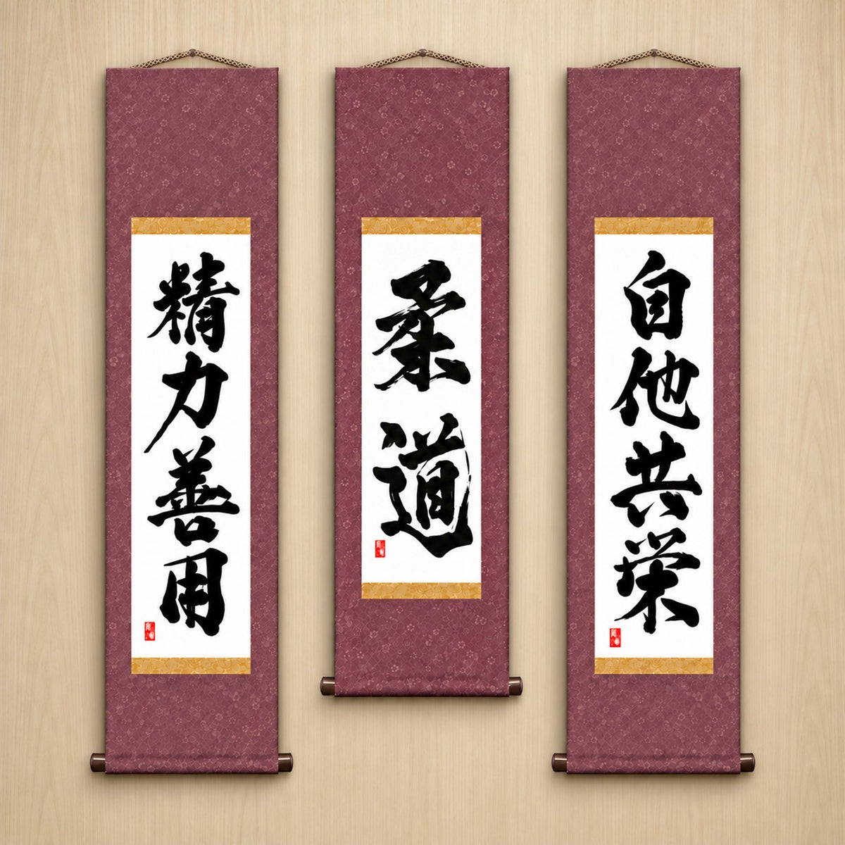 Judo Philosophy Complete Set — Powerful Style